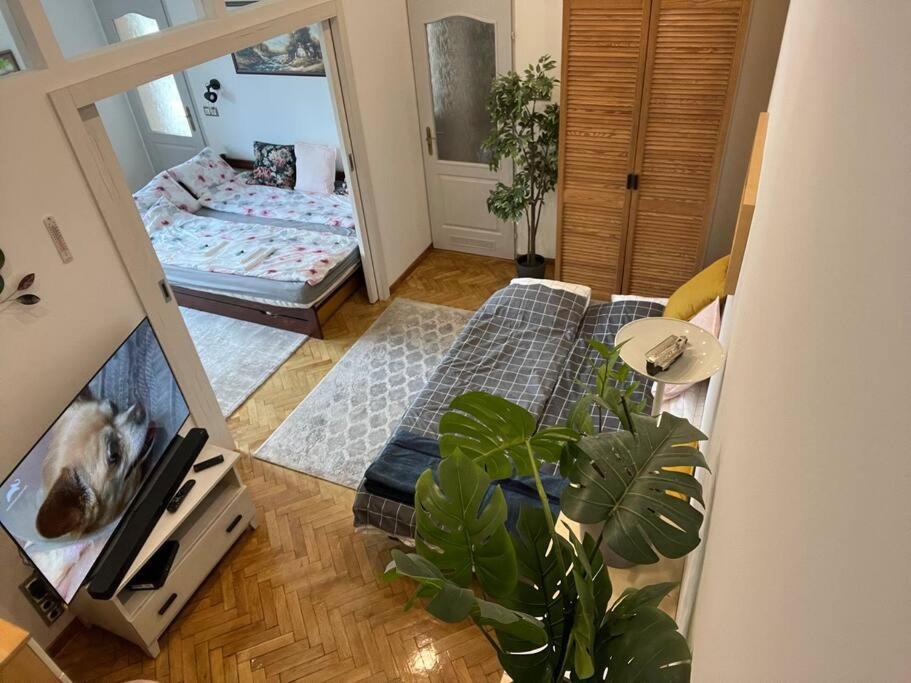 Awesome, 15 Mins To Center Home Budapesta Exterior foto